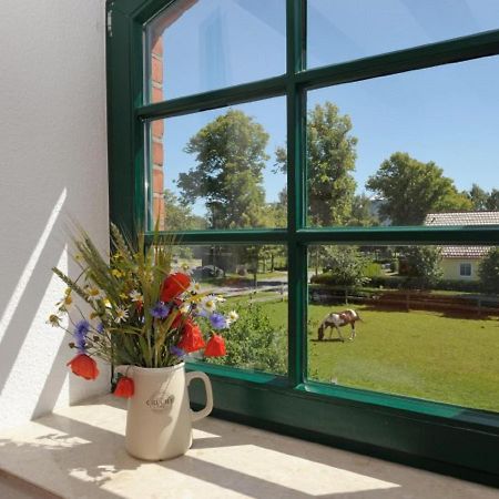 Hof Thomsen Apartment Gross Kordshagen Bagian luar foto